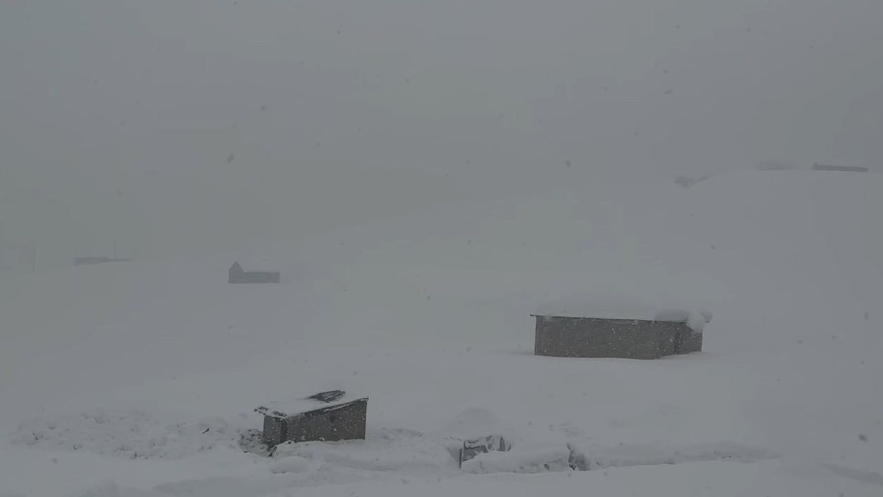 Hakkari'de Kar Yağışı: 43 Yerleşim Yerinin Yolu Kapandı
