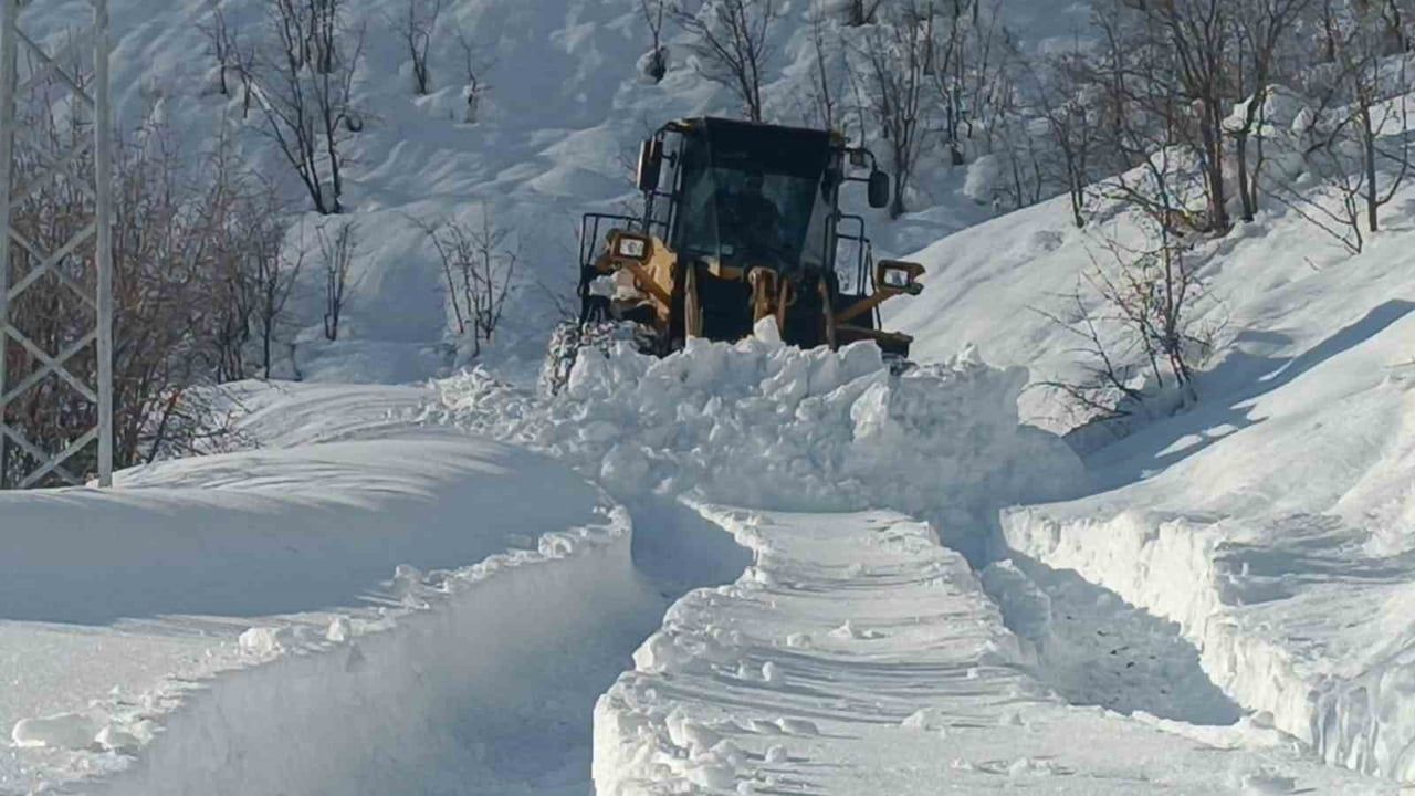 Hakkari'de Yoğun Kar: 353 Yerleşim Yolu Kapandı