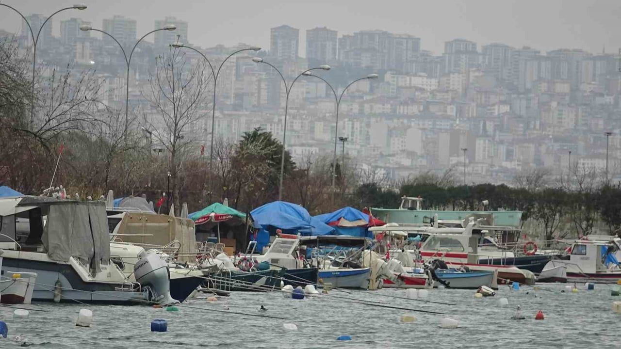 Hamsi Gürcistan'a Kaçtı: Türk Balıkçılar Beklemede