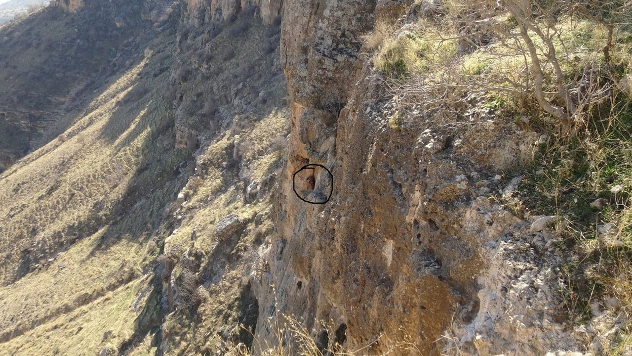 Hasankeyf'te 5 Gündür Mahsur Kalan Keçi AFAD Kurtardı