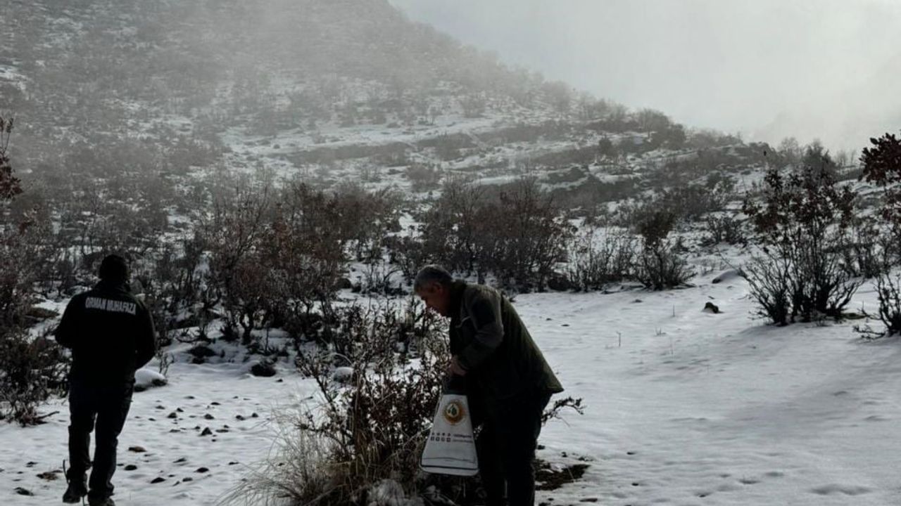 Hasankeyf'te Orman Ekipleri Yaban Hayata Yem Bıraktı