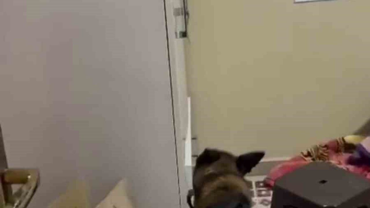 Hatay'da 17 Yaşındaki Eylül'ü Yaralayan Kişi Ablası Çıktı