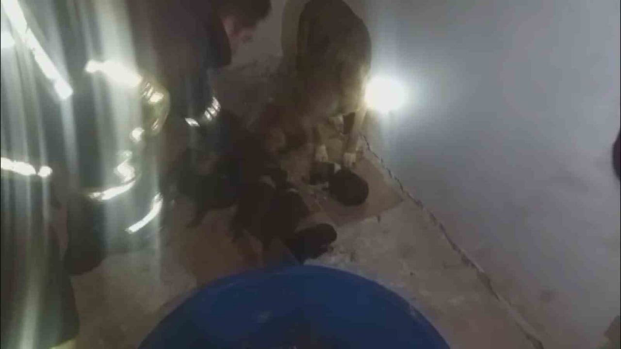 Hatay'da İtfaiye Donmak Üzere Olan Yavru Köpekleri Kurtardı