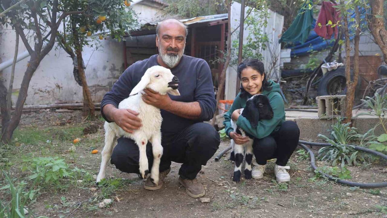 Hatay'da 'Karabaş': Annesi Ölen Kuzuyu Sahiplenen Aile Biberonla Besliyor