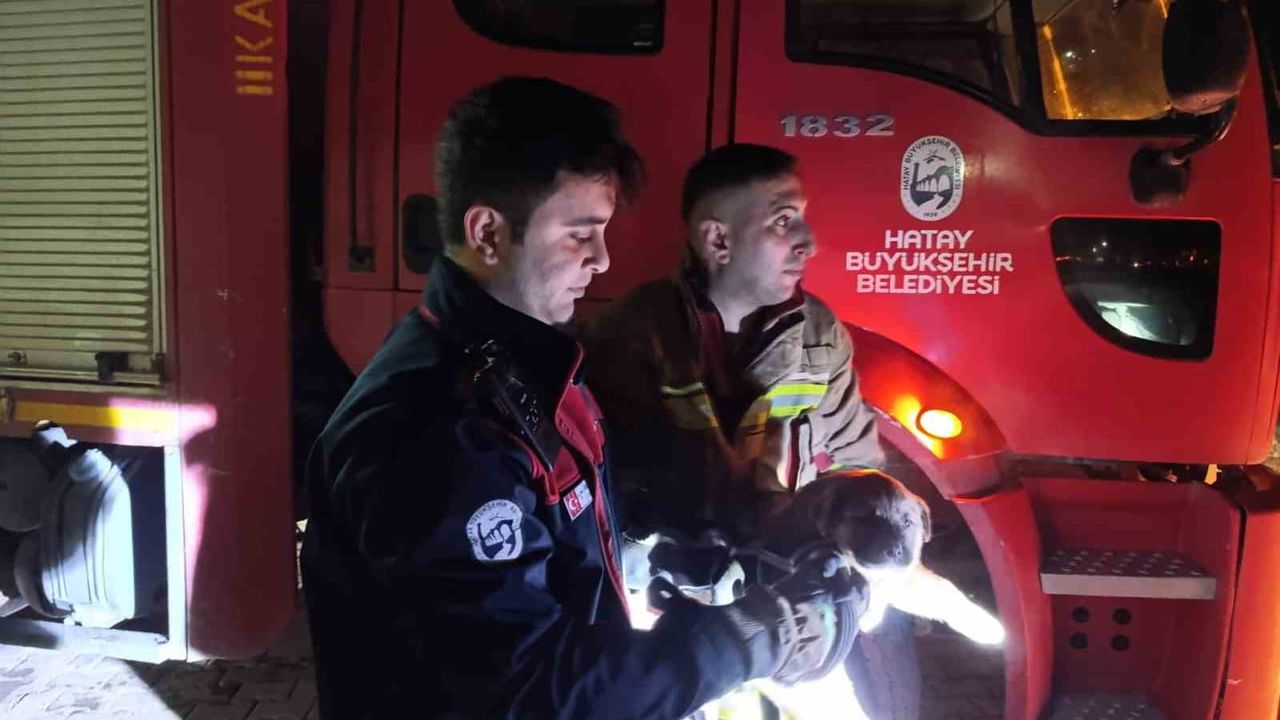 Hatay'da kuyuya düşen yavru köpek itfaiye tarafından kurtarıldı