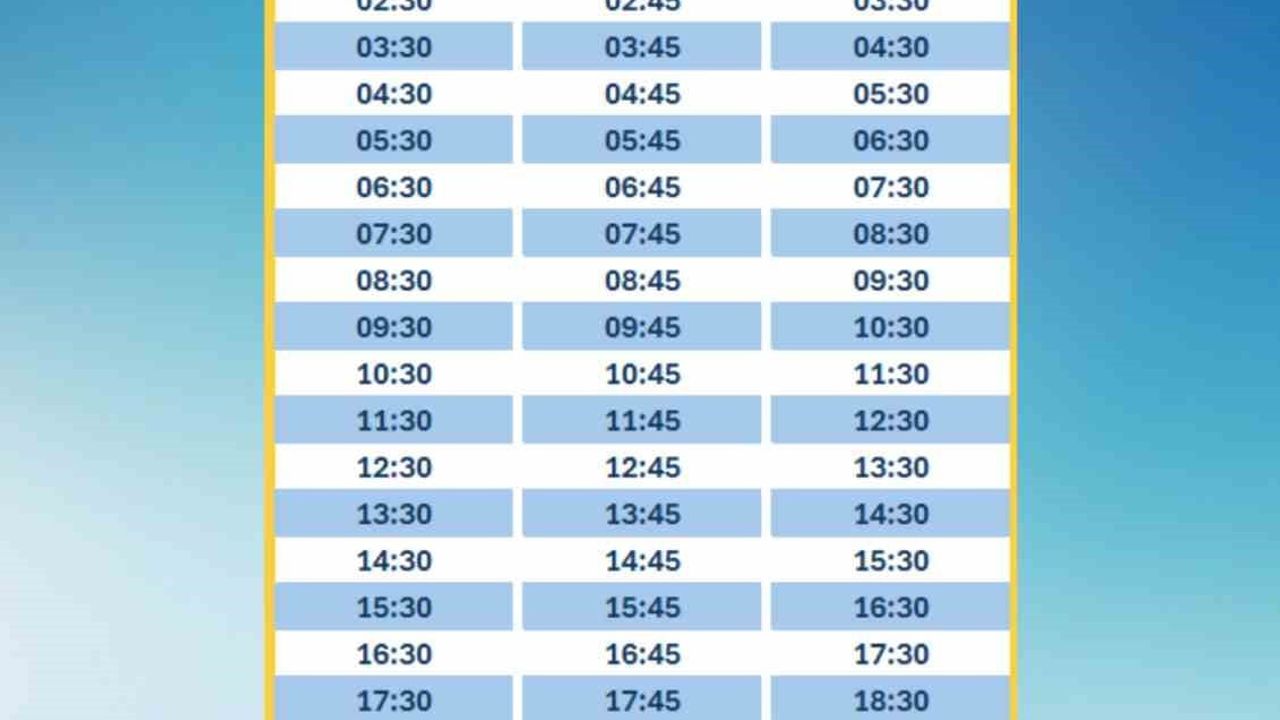 HAVAMAŞ Çukurova'da: Çukurova Uluslararası Havalimanı'na Yeni Seferler