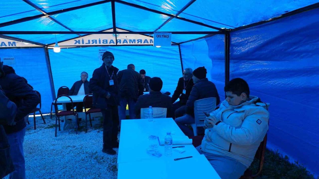 Hüseyin Sevdi, Orhangazi Zeytin Kooperatifi Başkanı Seçildi