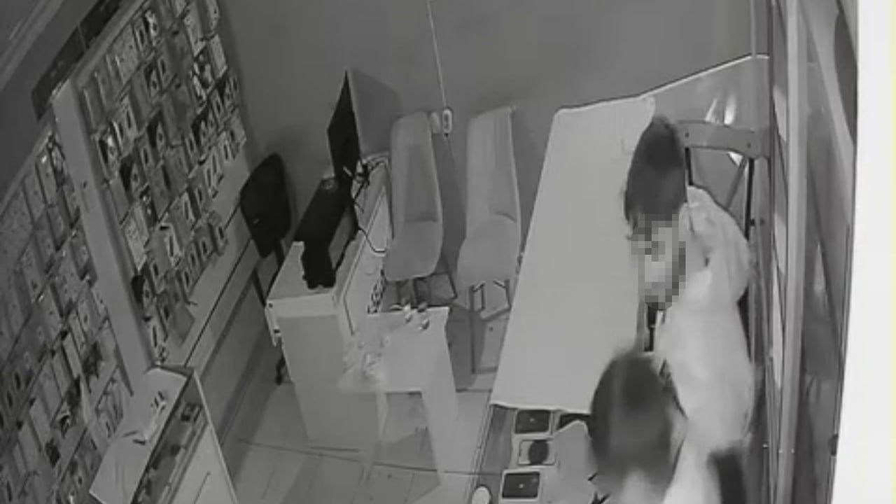 Iğdır'da Telefon Mağazasına Gece Hırsızlığı: 2 Şüpheli Çok Sayıda Telefon Çaldı