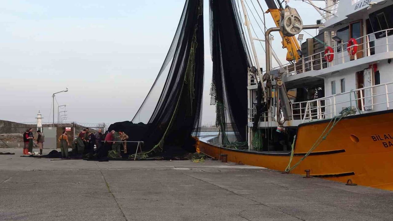 İğneada ve Gürcistan'da Hamsi Avı Beklentiyi Karşılamadı — Balıkçılar Erken Paydos