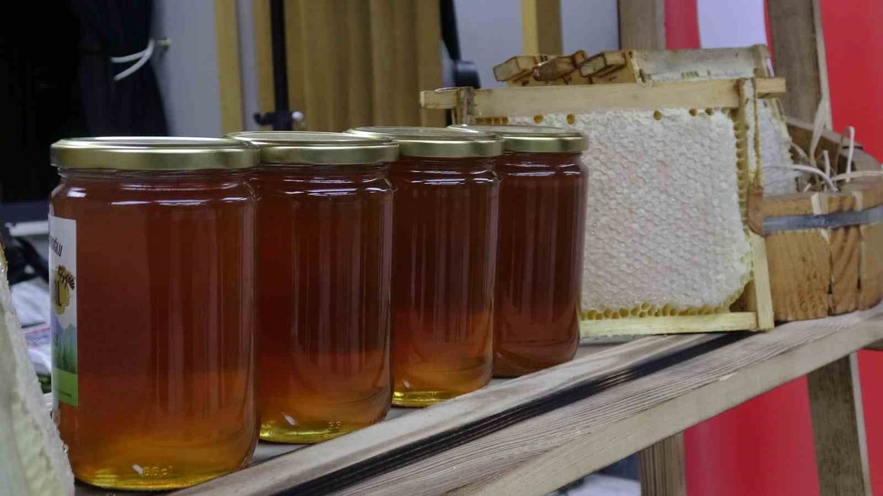 Ilgaz Balı Guinness Rekoru: 1 Kilo 11 bin 118 Avroya Dünyanın En Pahalı Balı