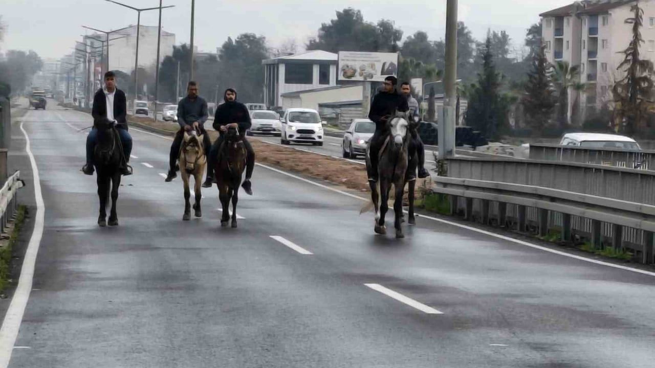 İncirliova'da Rahvan Atları Yarış Sezonuna Hazırlanıyor