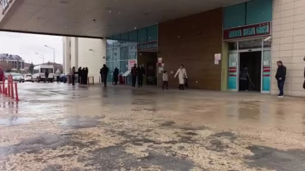 İnegöl'de 300 Gram Bonzai Ele Geçirildi: Şüpheli Tutuklandı