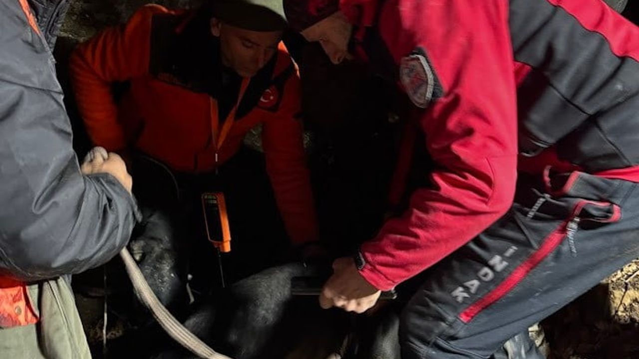 İnegöl'de İNDAK 7 Saatlik Operasyonla Mahsur Kalan İki Av Köpeğini Kurtardı