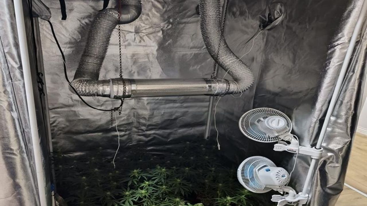 İnegöl'de Uyuşturucu Operasyonu: Evde 17 Kök Esrar ve Üretim Düzeneği Ele Geçirildi