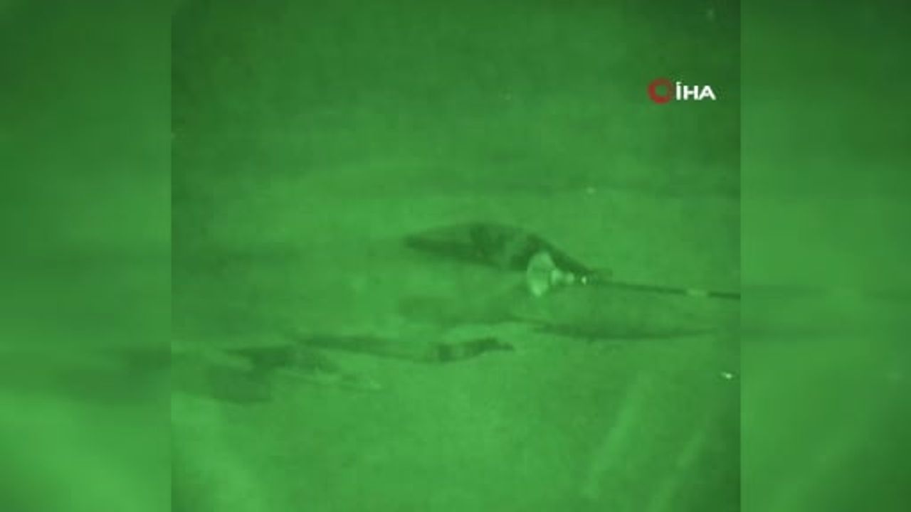 İngiltere ve Fransa Palmira'da DAEŞ Hedeflerine Hava Saldırısı