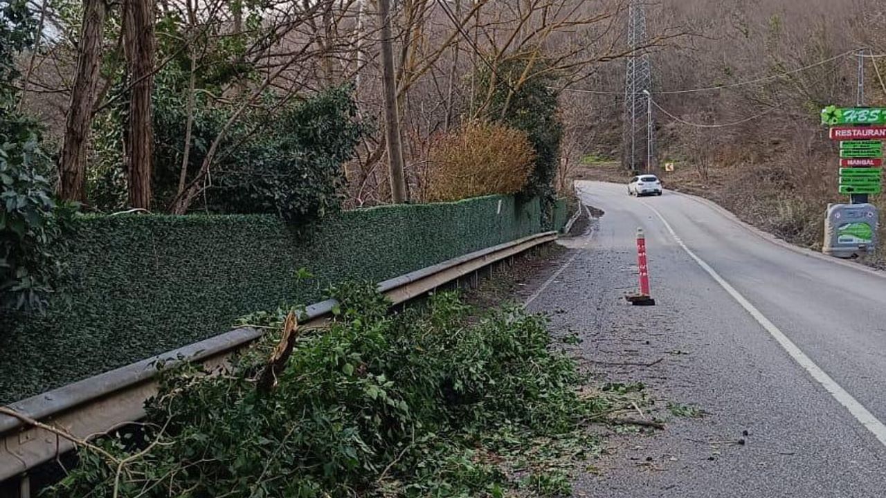 İstanbul’da Lodos Uyarısı: Kuvvetli Fırtına ve Ani Sıcaklık Artışı Bekleniyor