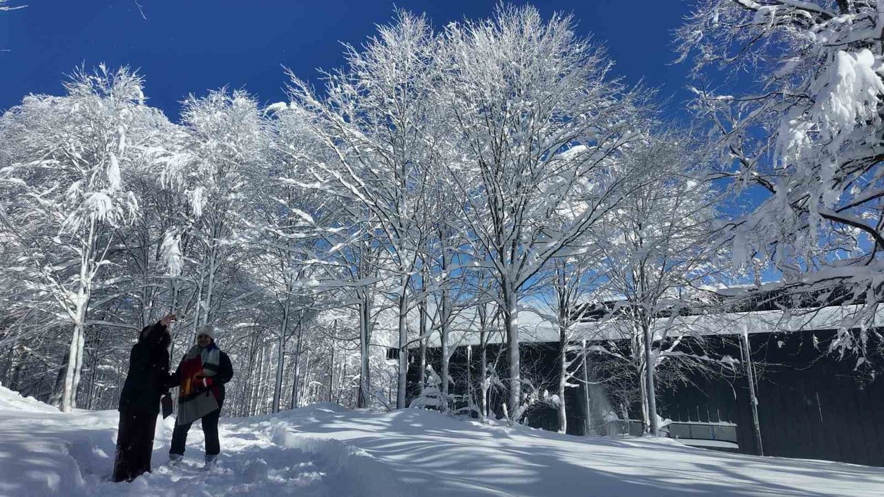 İstanbul'dan Kartepe'ye Akın: Kar ve Güneş Turistleri Çekti