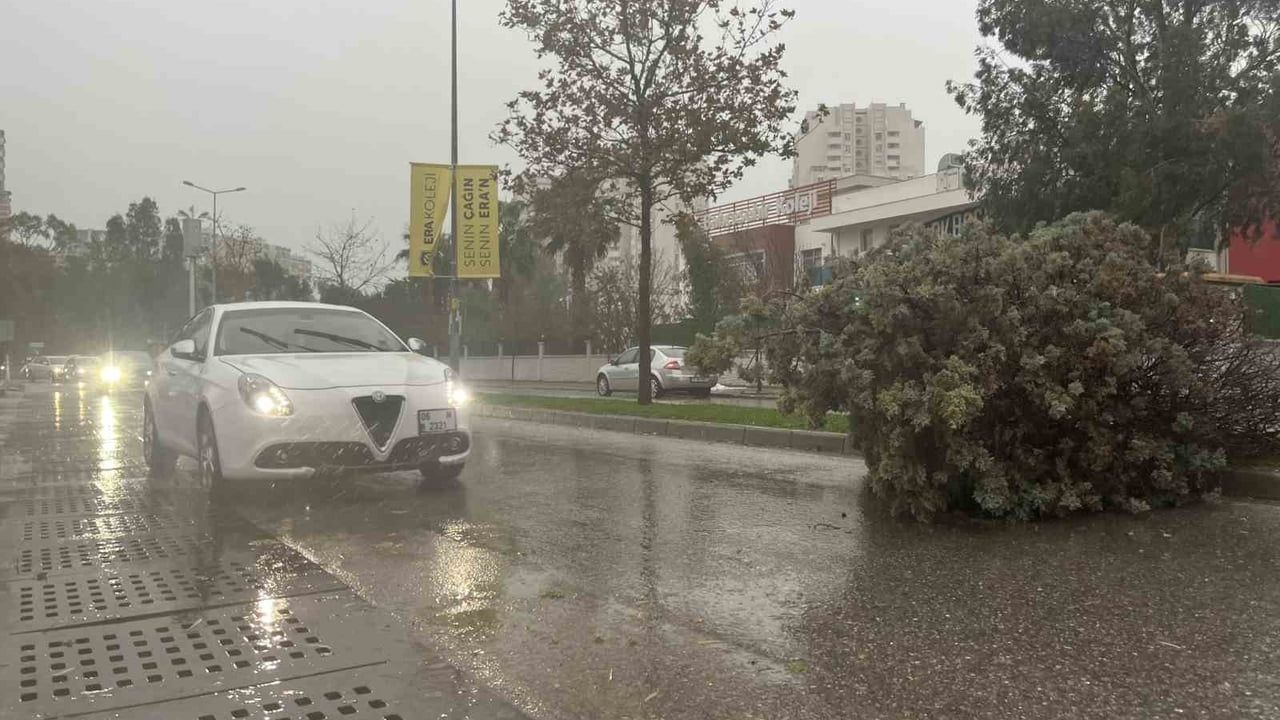 İzmir'de Fırtına Ağaçları Devirdi: 5 Araç Hasar Gördü, Ulaşım Aksadı