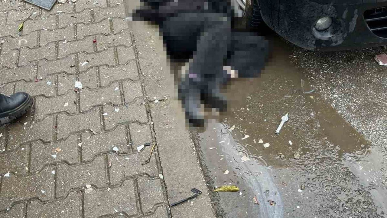 İzmir Ödemiş'te feci kaza: Yazar Rabiye Yıldırım hayatını kaybetti