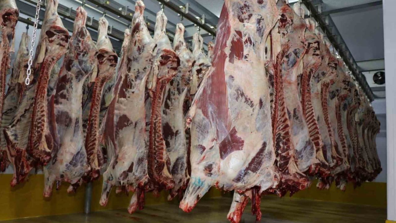 İzmit Mezbahası'nda 2025'te 6 bin 29 Kesim: 1 milyon 713 bin 933 kilogram Et Teslim Edildi