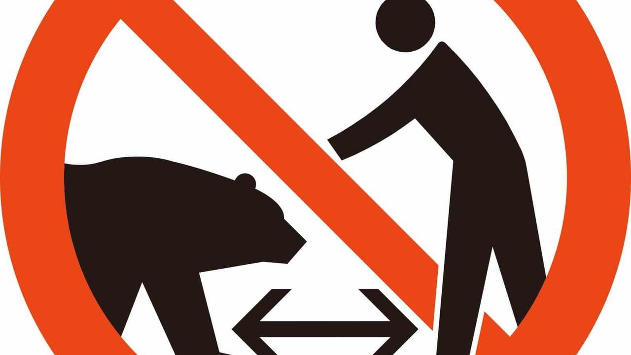 Japonya'dan Yeni Ayı Uyarı İşaretleri: JTA Turist Güvenliğini Artırıyor