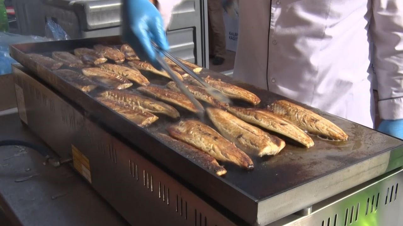 Kağıthane'de Balık Ekmek Şöleni: 25 Bin Kişiye Yaklaşık 6 Ton İkram