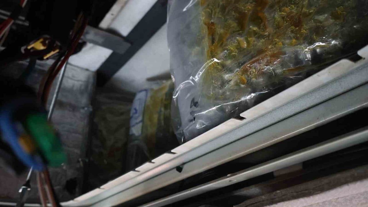 Kapıkule'de 144 kilo 732 gram esrar ele geçirildi