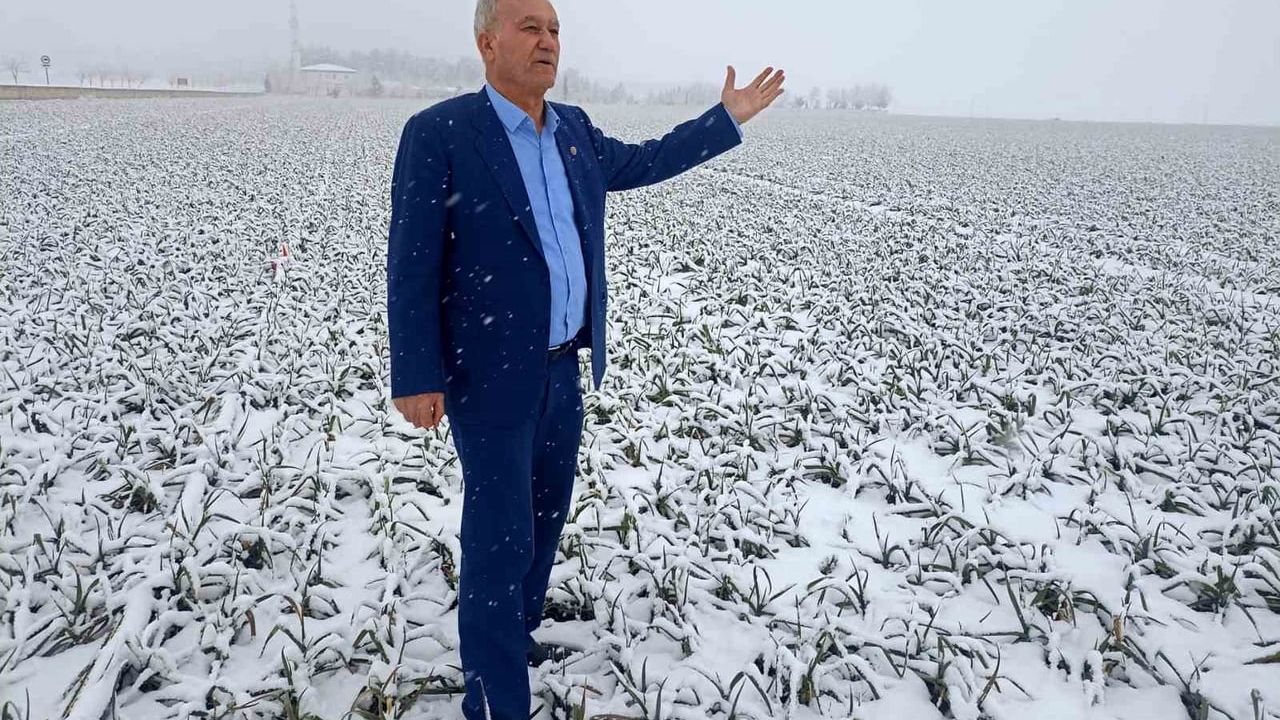 Kar Yağışı Araban Sarımsağında Verim ve Rekolte Beklentisini Yükseltti