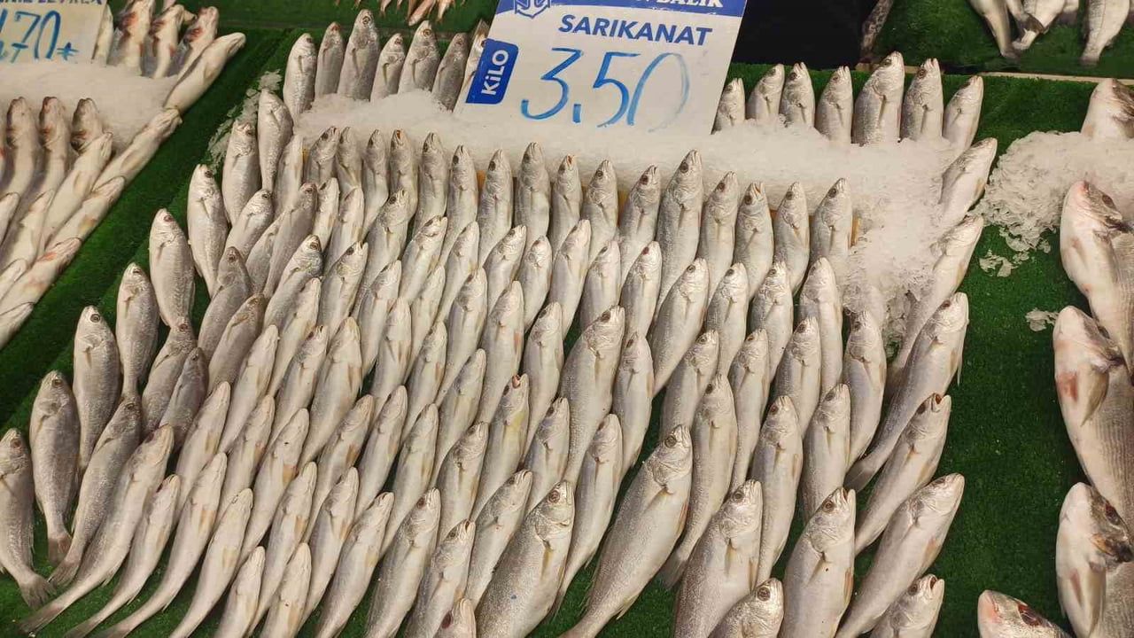 Kar Yağışı Balık Bolluğu Getirdi: Kayseri Tezgâhları Şenlendi
