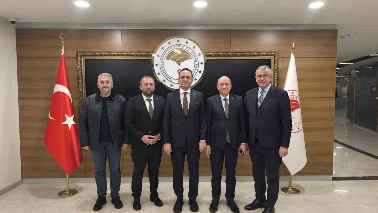 Karabiga'da Köprü Müjdesi: Elbi ve Gider Ankara'da Güçlü Temaslarda