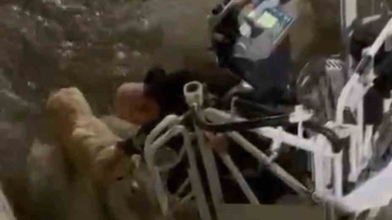 Karabük'te su kanalına düşen köpek itfaiye tarafından kurtarıldı