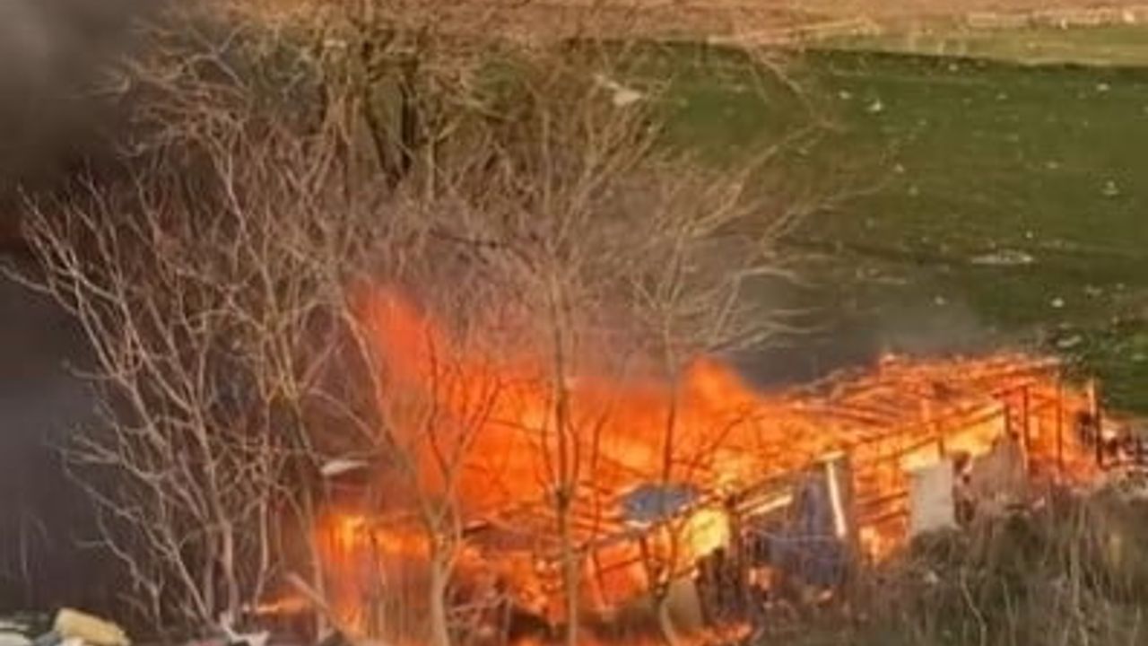Karacabey'de Alev Alev Yanan Ağıl: Hayvanlar Son Anda Kurtarıldı