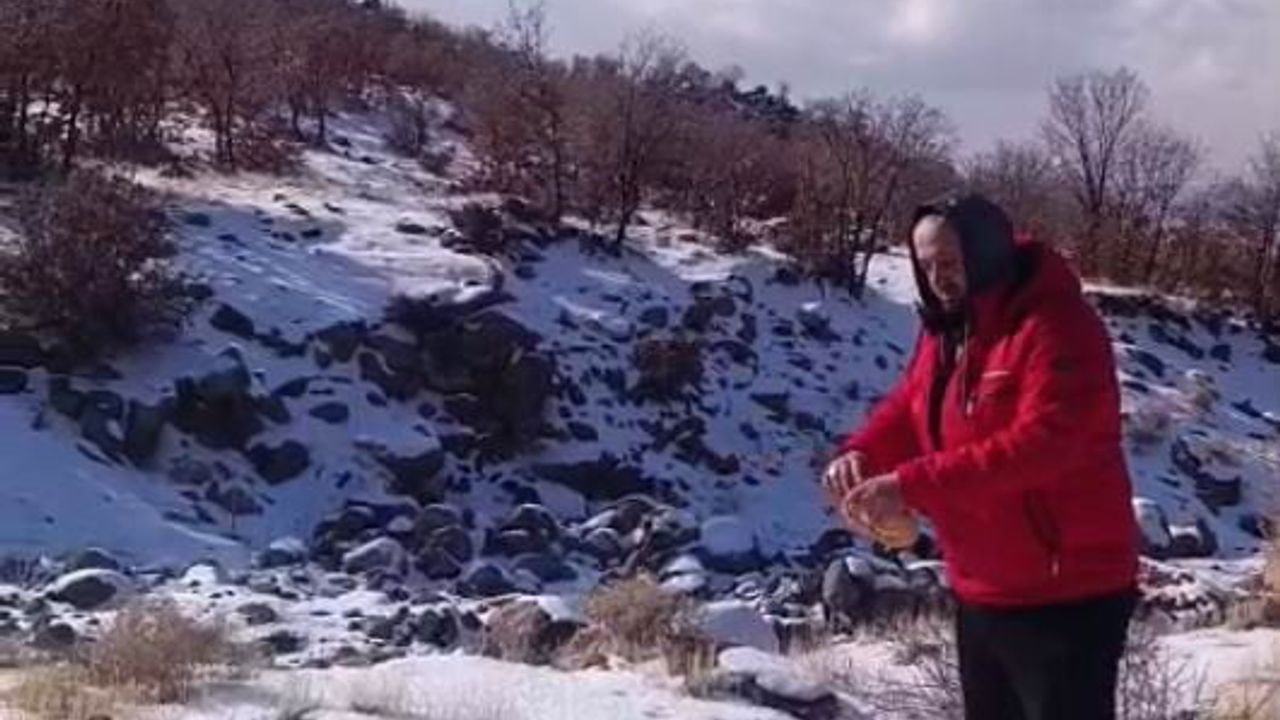Karacadağ'da Kar Yağışı Yaban Hayatını Zorladı: Karapınar'da Vatandaşlar Yem Bıraktı