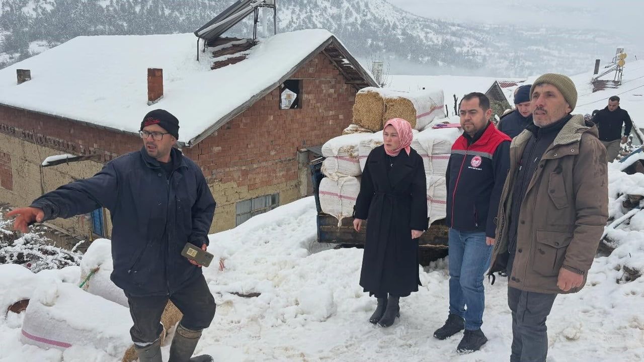 Karaman'da Ahır Çatısı Çöktü: 142 Küçükbaş Hayvan Kurtarıldı