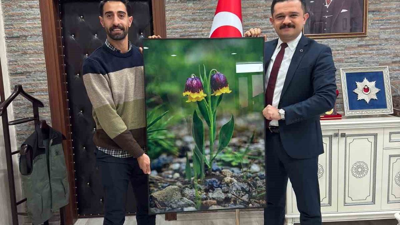 Karayazı'da Geleneksel Ters Lale Festivali Mayıs'ta Başlıyor