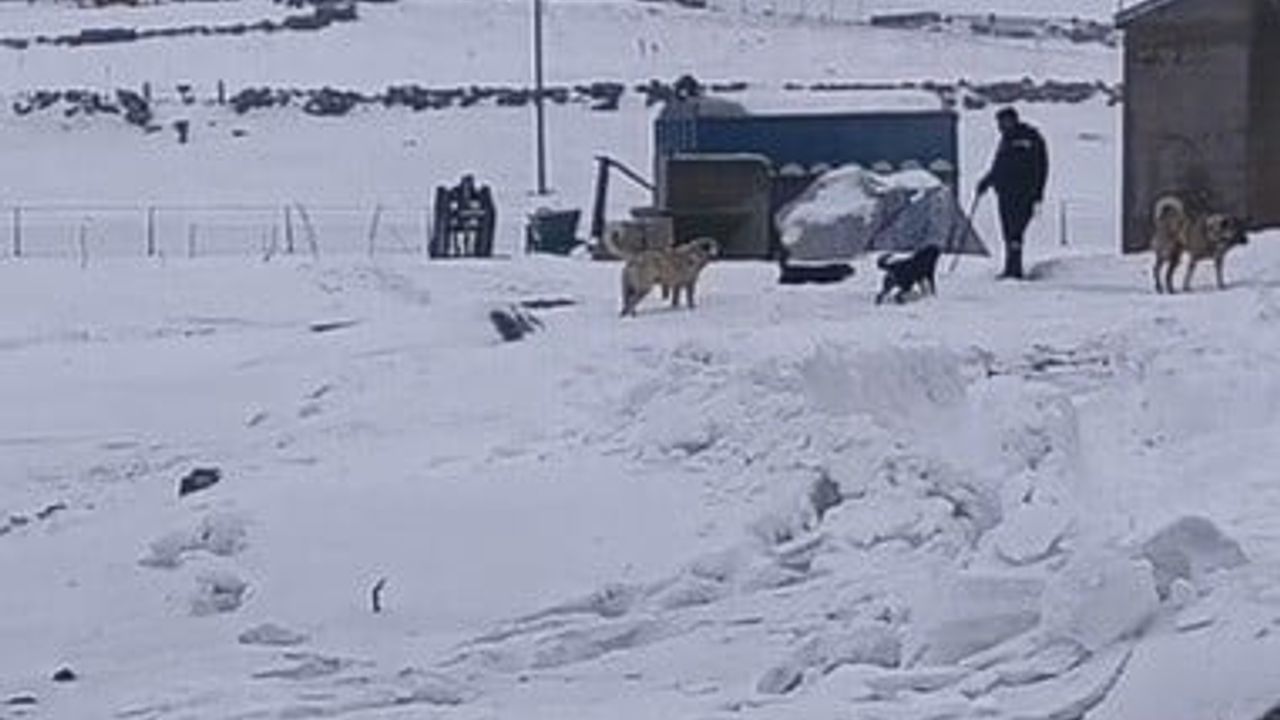 Kars'ta Aras EDAŞ Ekiplerinin Dondurucu Elektrik Mücadelesi