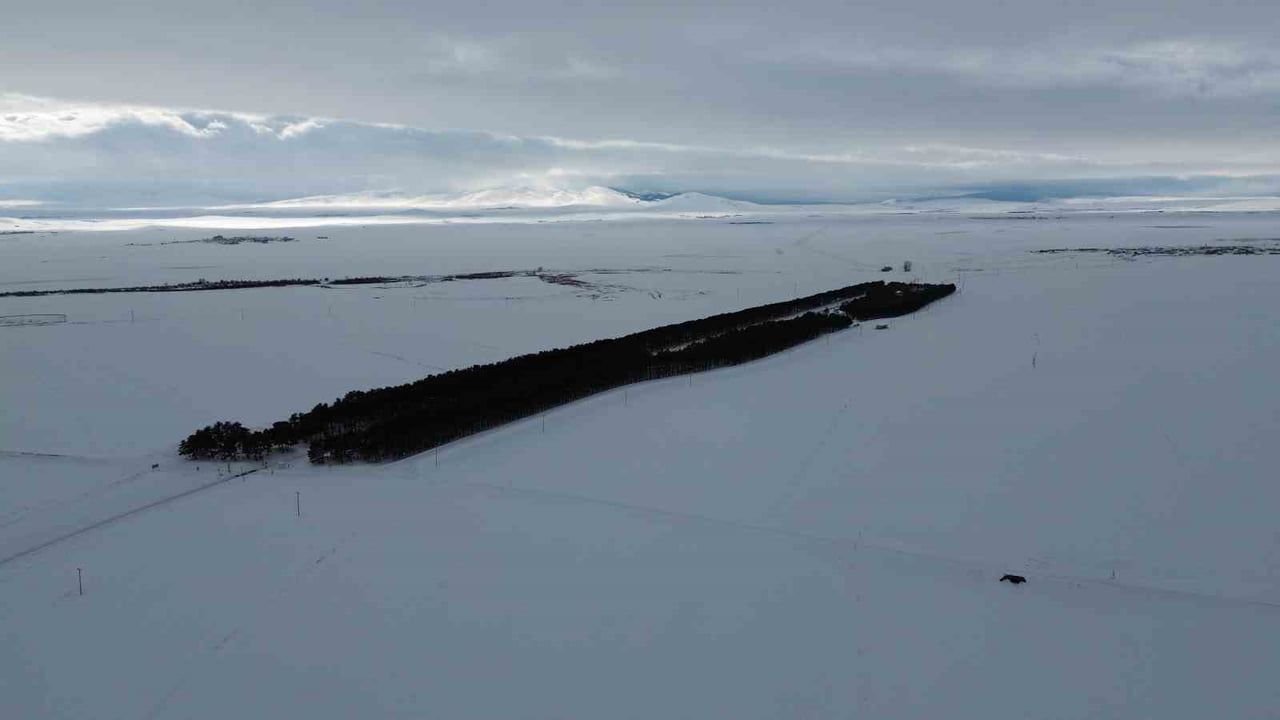 Kars'ta Benliahmet İstasyonu: Doğu Ekspresi'nin Kartpostallık Kış Vahası