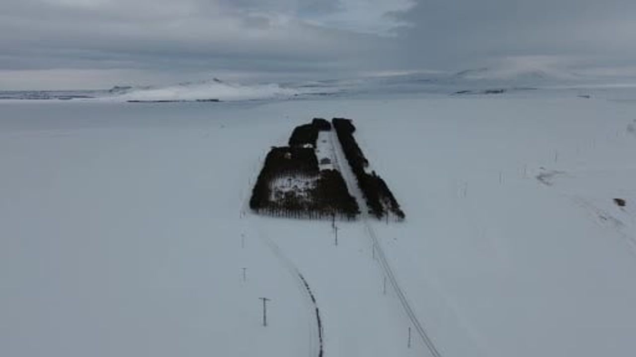 Kars’ta Benliahmet’te 20 Bin Çamlık Kış Masalı — Doğu Ekspresi Vahası