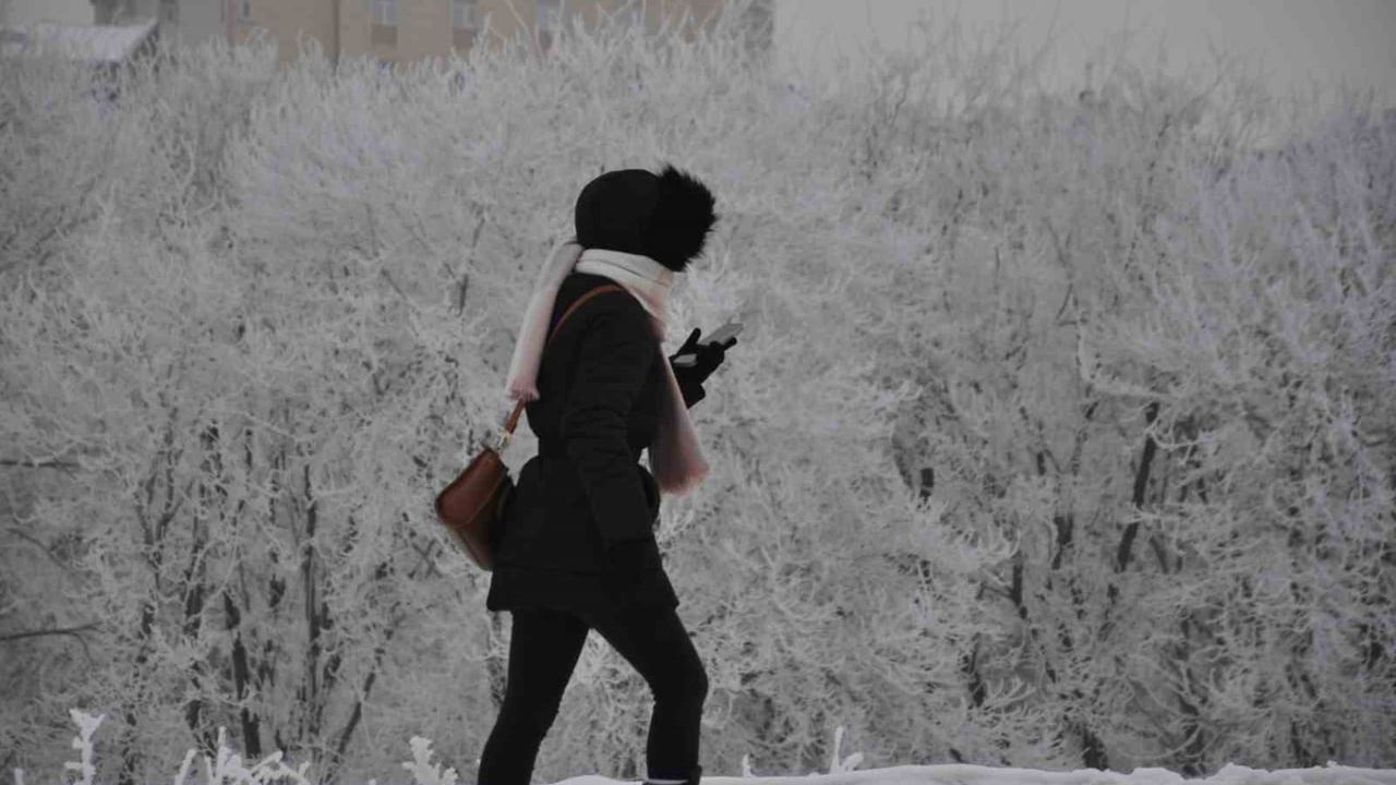 Kars’ta Eksi 20 Derece: Ağaçlar Kırağıyla Kaplandı