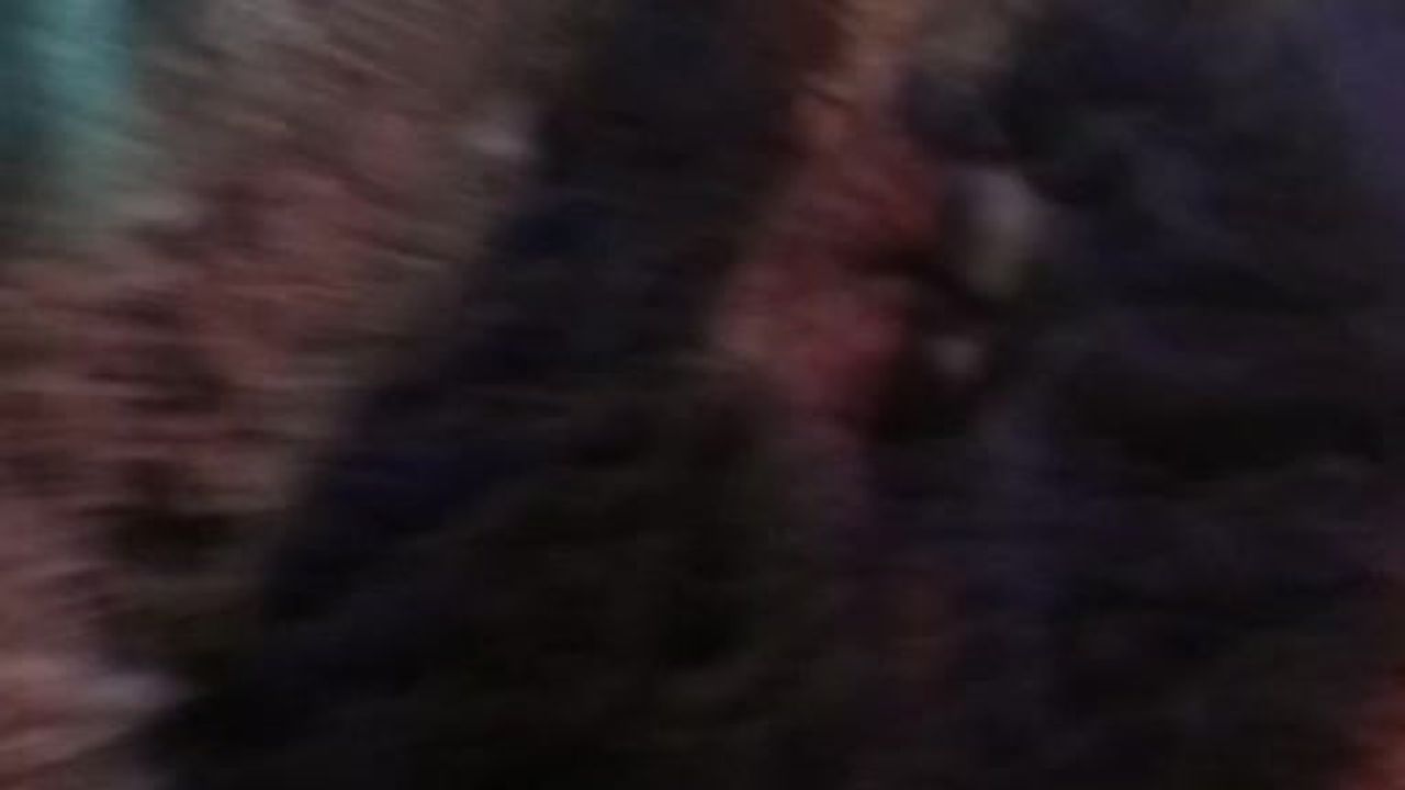 Kars'ta Mehmetçik Paletli Kar Aracıyla Mahsur Kalan Yaşlı Hastaya Ulaştı