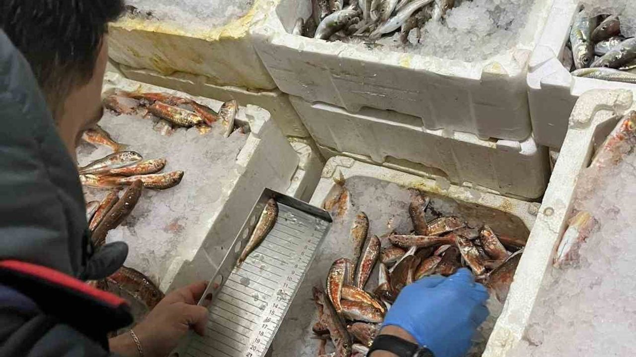 Kastamonu Çatalzeytin'de 1 ton 335 kilogram usulsüz avlanan balığa el konuldu