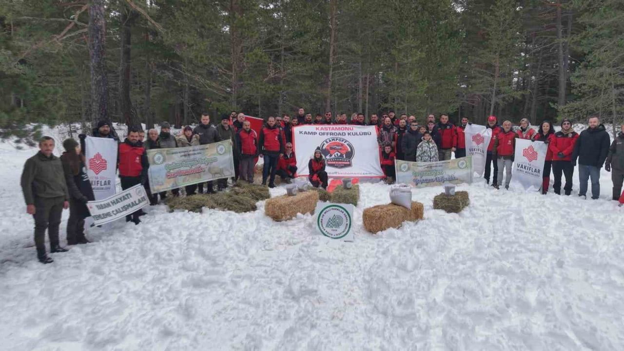 Kastamonu'da Karla Kaplanan Ormanlara Yaban Hayvanları İçin Yem Bırakıldı