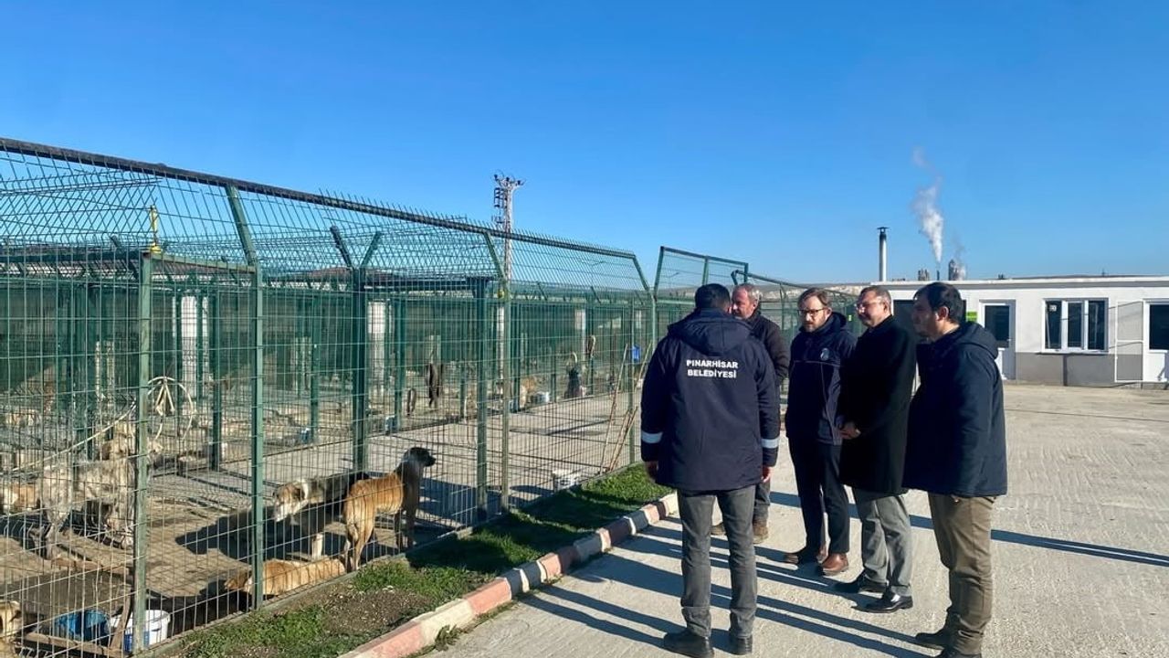 Kaymakam Özderin, Pınarhisar Geçici Hayvan Bakım ve Gözlem Merkezi'ni İnceledi
