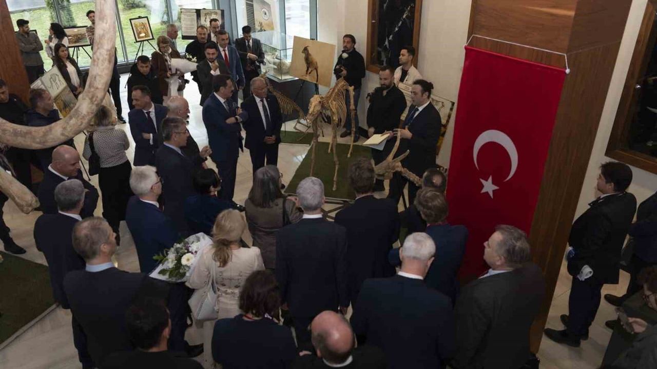 Kayseri Avrupa’nın Dikkatini Çekti: PVSmile, Spor ve Turizm Başarıları