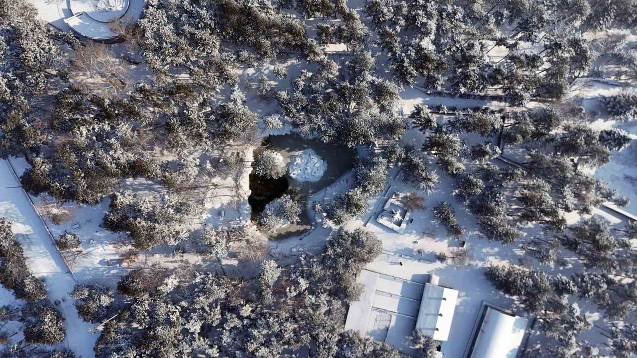 Kayseri'de Eksi 14: Gölet Buz Tuttu, Kaz ve Ördekler Görsel Şölen