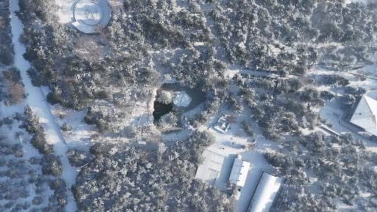 Kayseri'de Eksi 14: Yapay Gölet Buz Tuttu, Kaz ve Ördekler Görsel Şölen