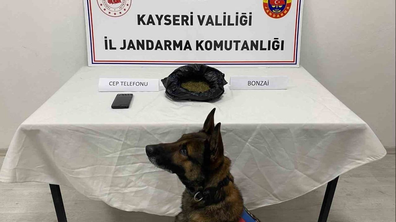 Kayseri'de Uyuşturucu Operasyonu: 515 Gram Ele Geçirildi, 1 Gözaltı