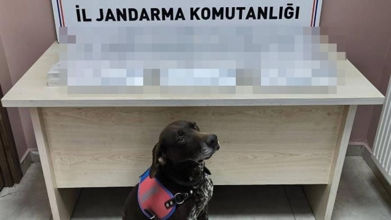 Kayseri Jandarma 2025: 7 bin 900 Aranan Şahıs Yakalandı, 283, 71 kg Uyuşturucu Ele Geçirildi