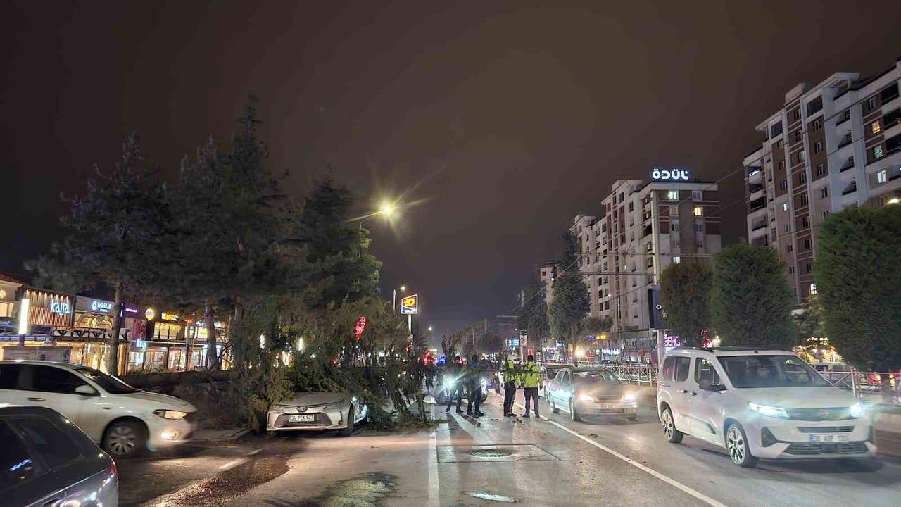 Kayseri Talas'ta Kuvvetli Rüzgar: Ağaç Otomobile Devrildi