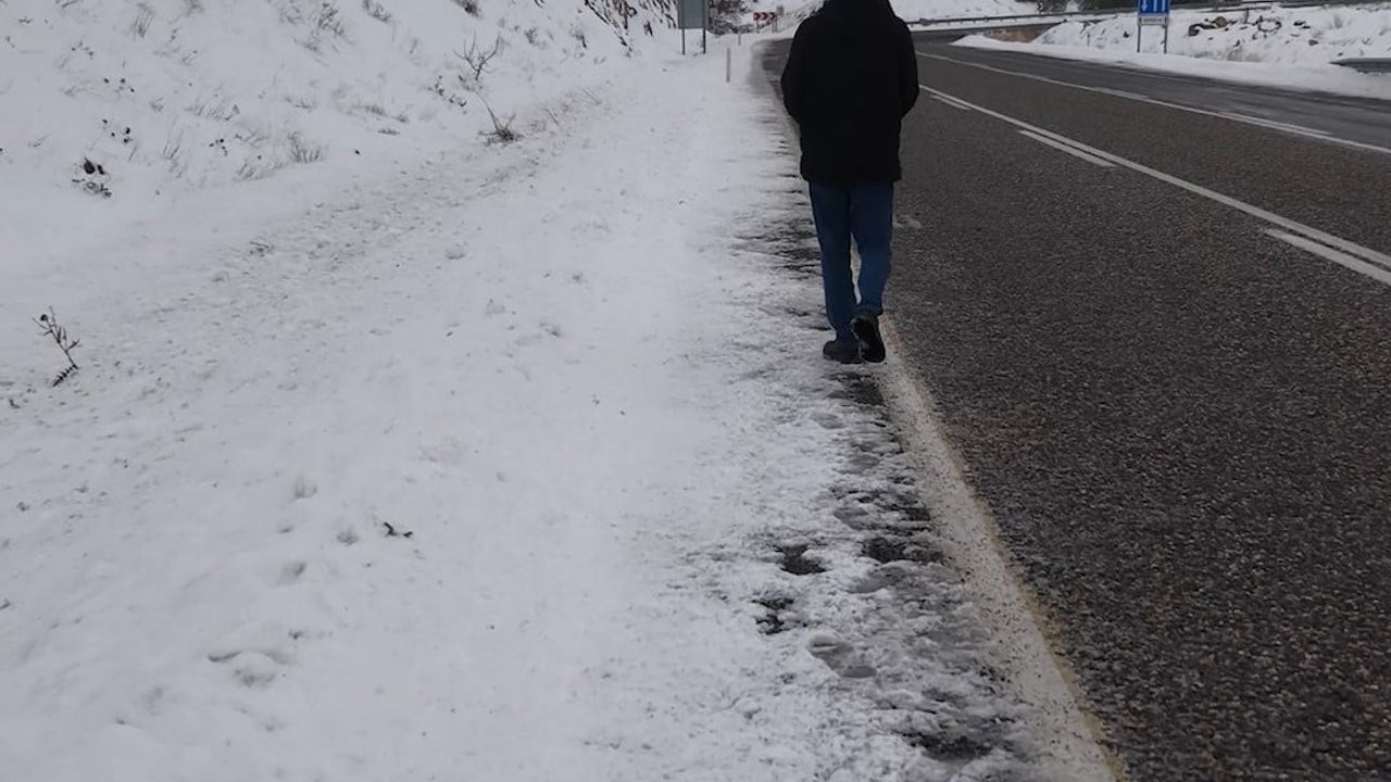 Keban'da Kuşlara Destek: Yol Kenarlarına Buğday Serptiler